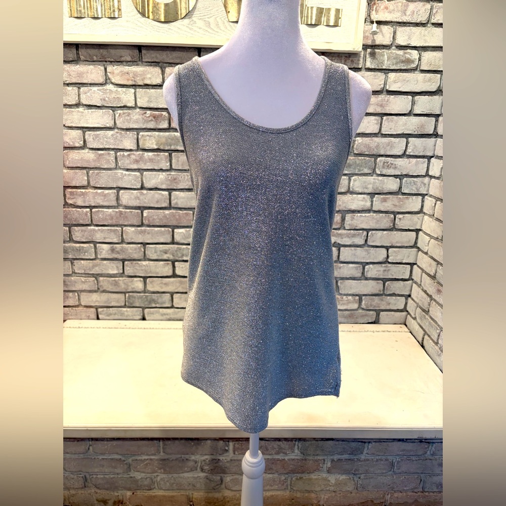 Silver sparkly top
